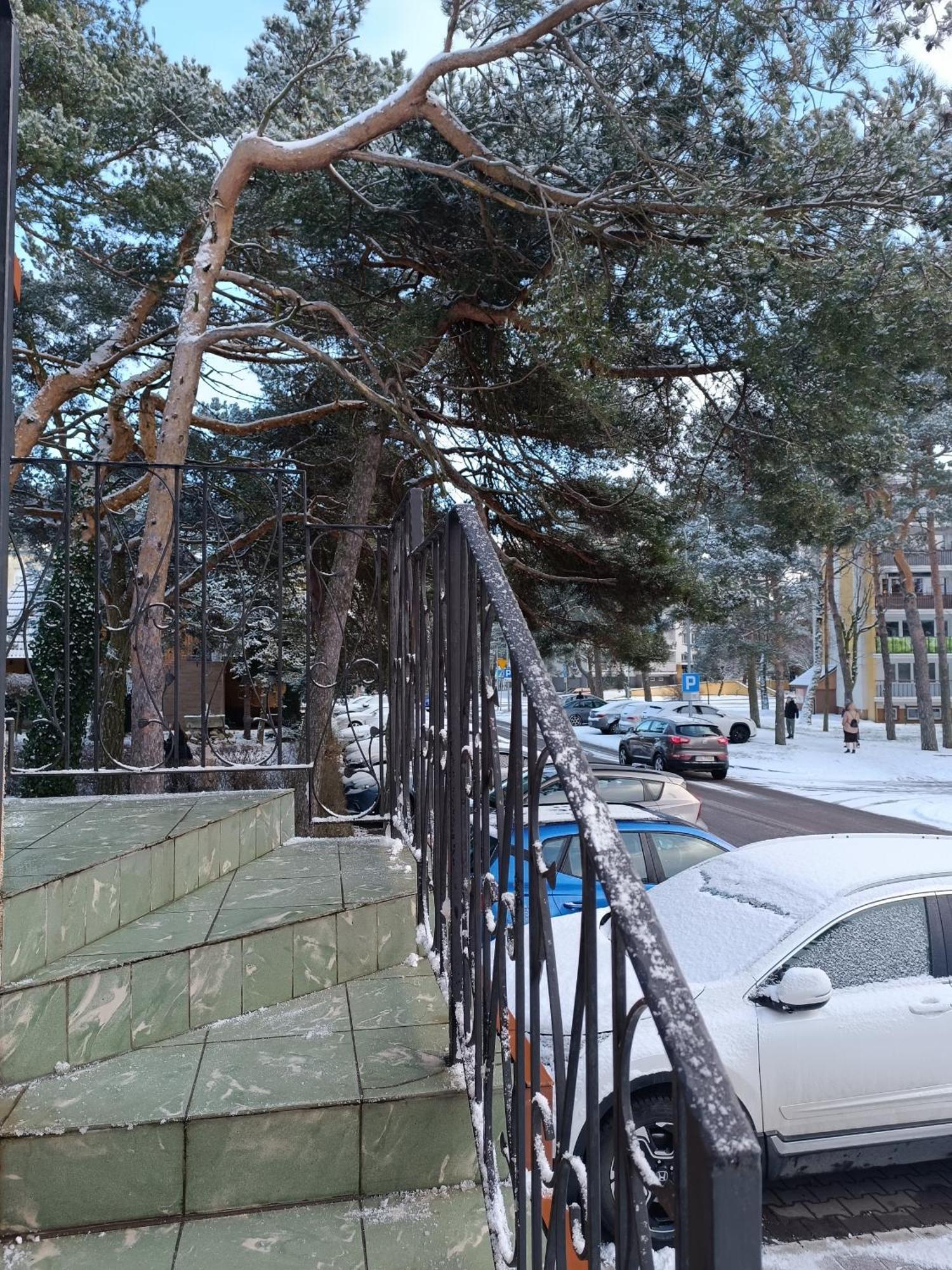 Apartamento Dom Zlotnika *